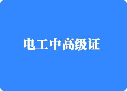 小骚逼污网站电工中高级证